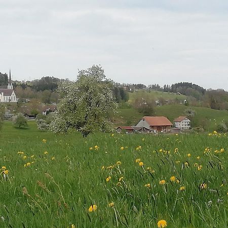 Billenberghof Appartement Sankt Gallen Buitenkant foto