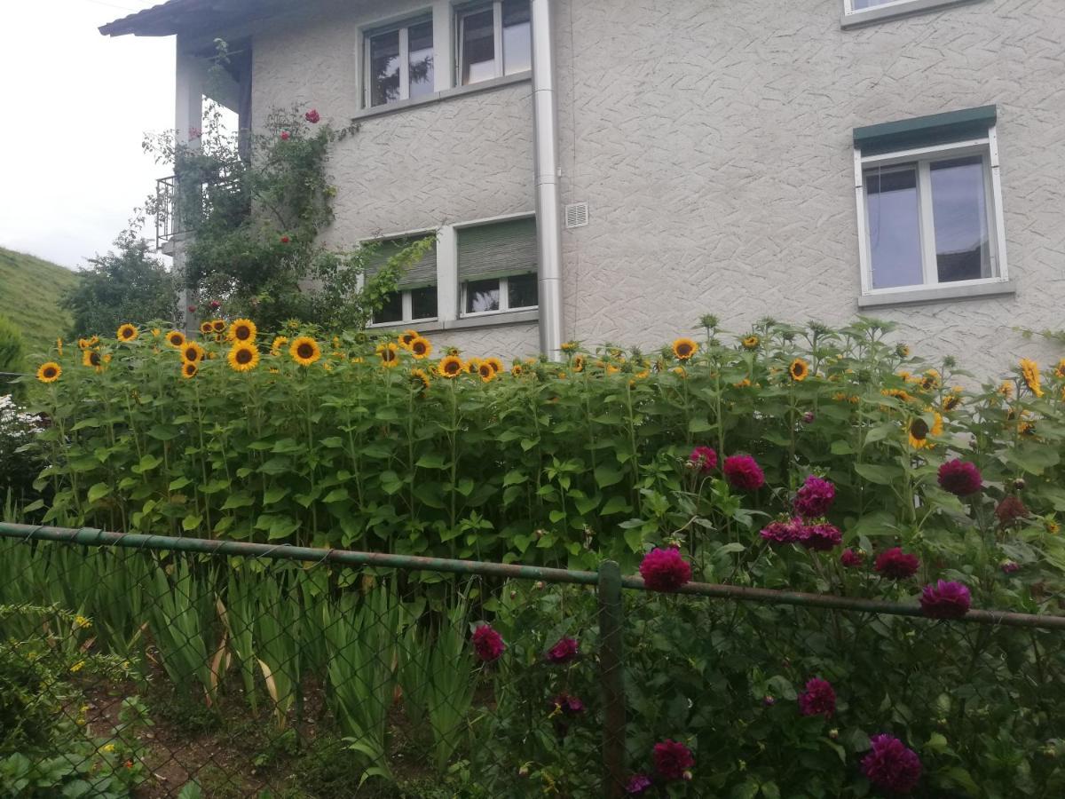 Billenberghof Appartement Sankt Gallen Buitenkant foto