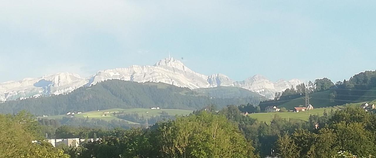 Billenberghof Appartement Sankt Gallen Buitenkant foto